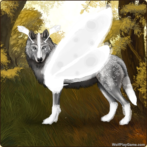 Wolf Play Angelic Moth Gear