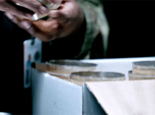 tumblr 791a2f0cdfa49278f3c6ae451fe152fa e76e3de4 540