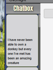 bmp4y.png