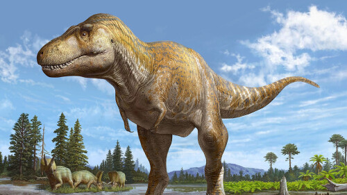 dinosaur illustration