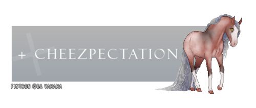 bmszp.png