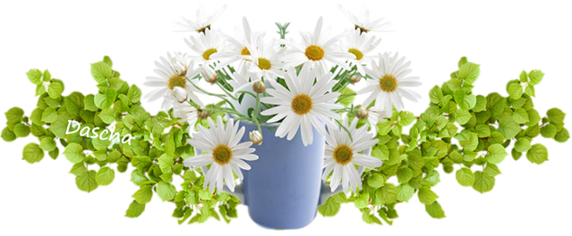 bmviB.png