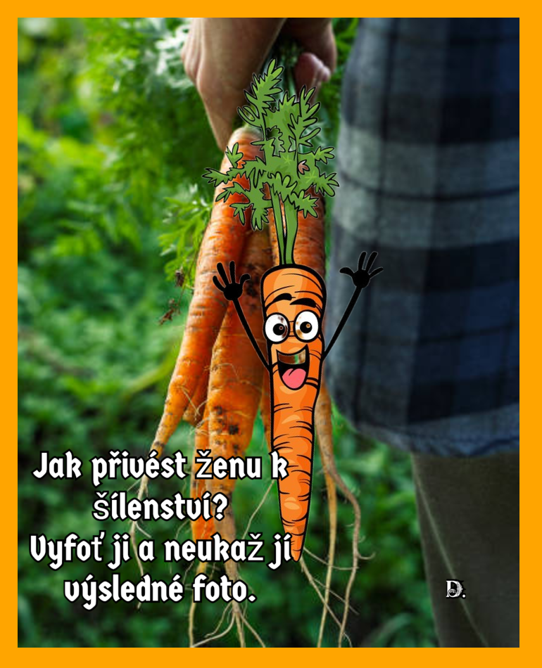 bmvpy.png