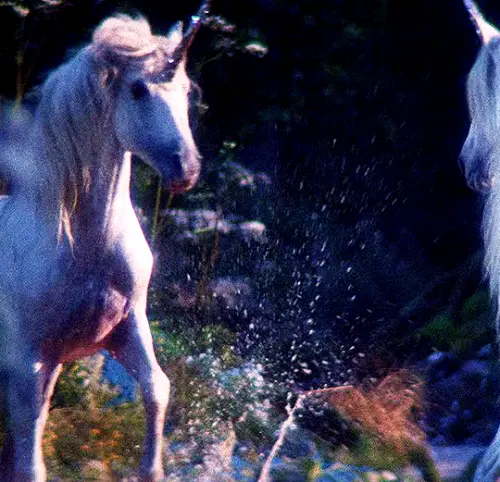 tumblr 0d71423d591ce751df3b00cd0afc8a75 34c219c6 540