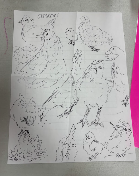 Chicken