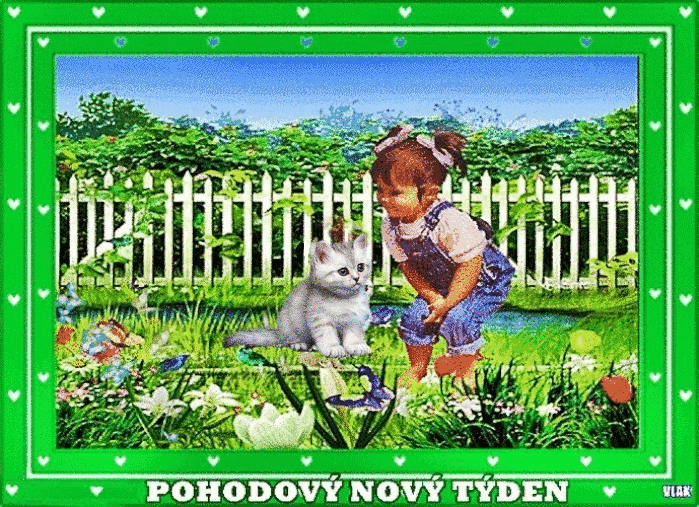 bn07t.gif