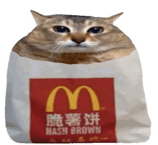 hashbrown feline with mcdonalds paper