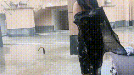 GIF Image