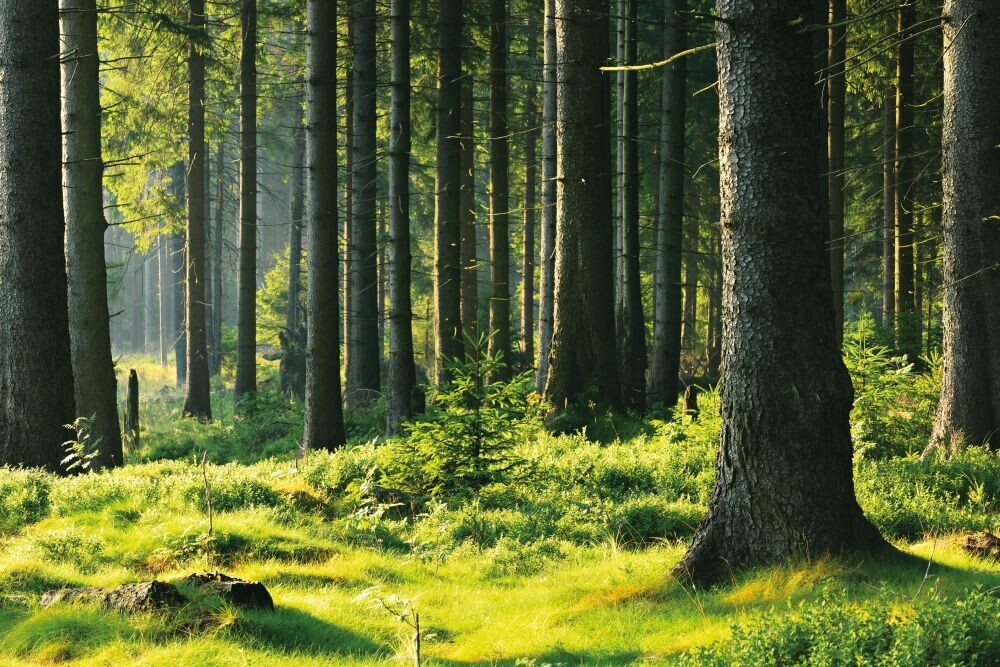 shutterstock 171583115
