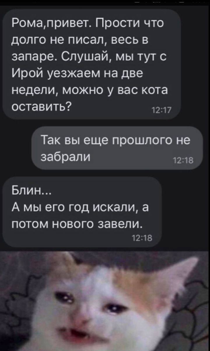 bn96R.jpg