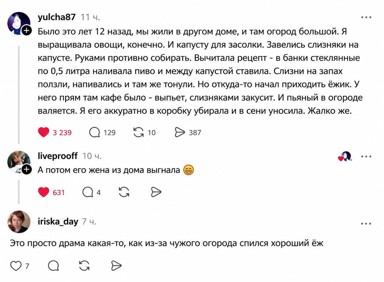 bn9g6.jpg
