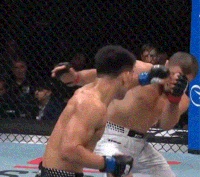 bnAif.gif