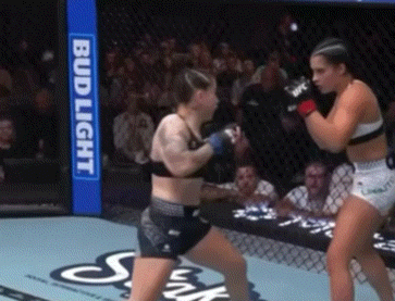 bnE60.gif