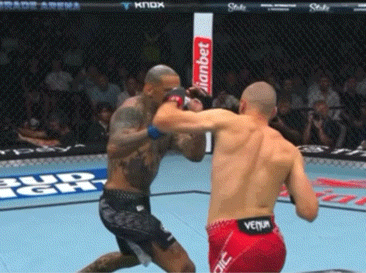 bnEhL.gif
