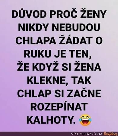 stažený soubor (25)
