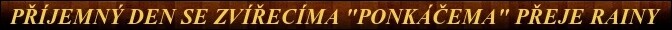 XHN9rofnSUQf
