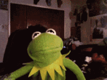 bnJDQ.gif