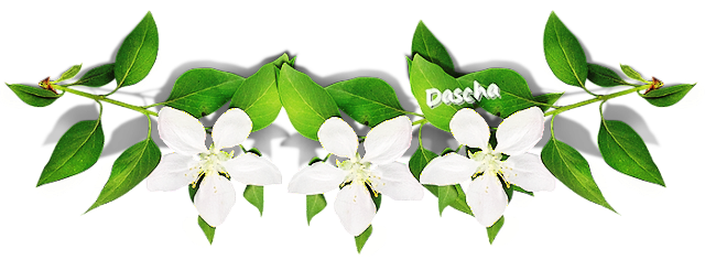 33.L bílá 1 sp