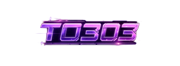 TO303