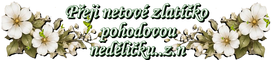 bniK6.gif