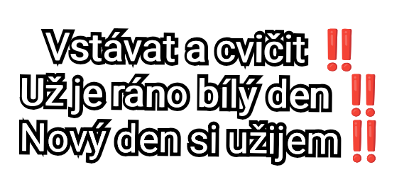1000003176