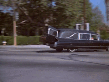 https://s13.gifyu.com/images/bnoe8.gif