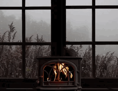 https://s13.gifyu.com/images/bny5x.gif