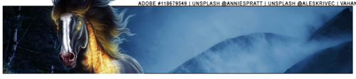 bq25w.png