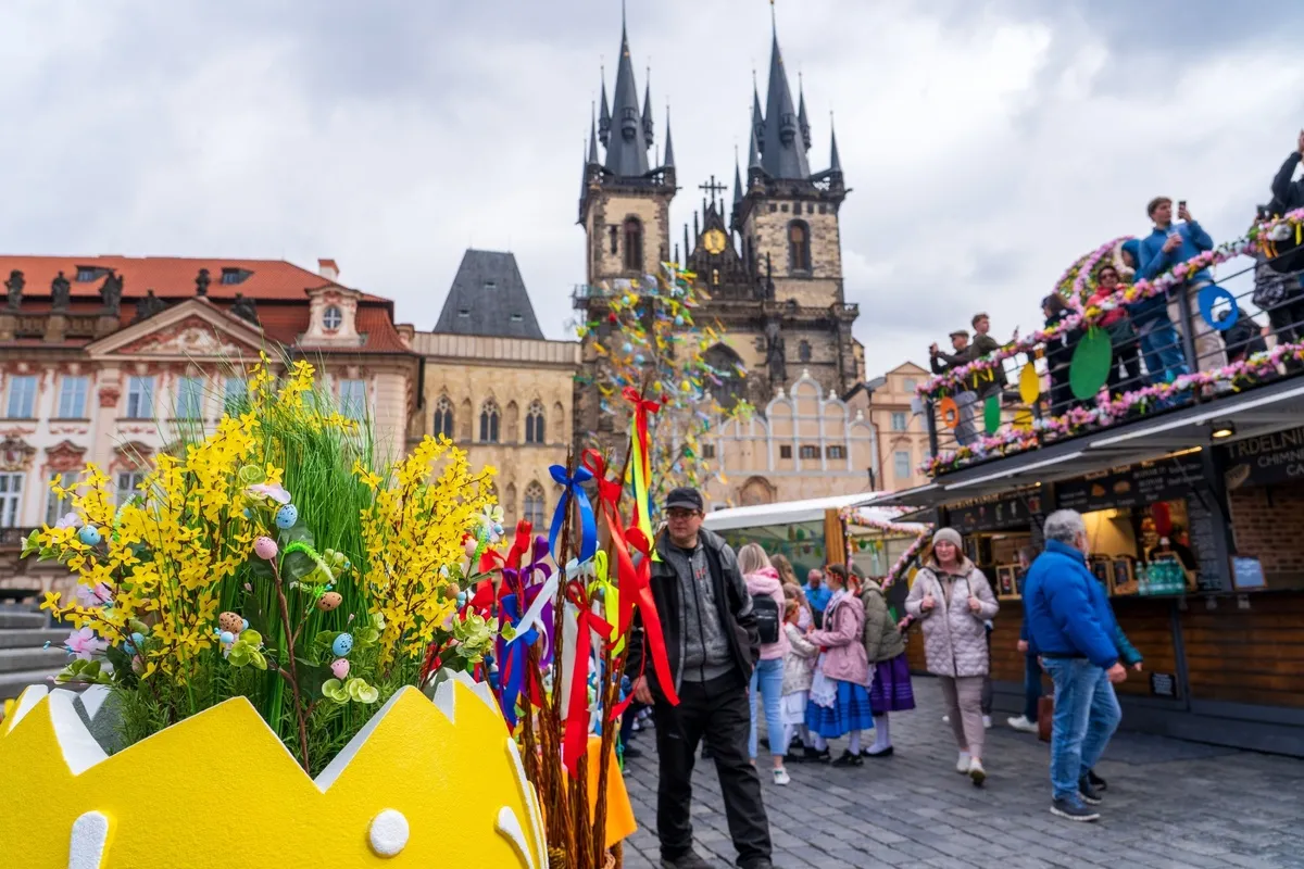 h2s7sJBd4NUS2xoTSyufLBAoyjRAfT1pru8XTs6zJdT2biIYvqcMsRwQLvfJwC5SI0FNjFVUOCv7TXORBzpCPlqqQnZNeOWn4SjP