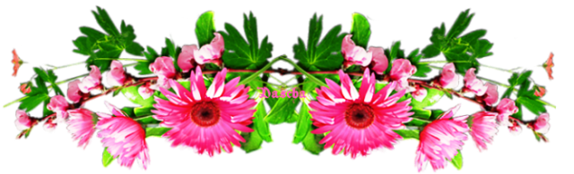 1.L pink 2 vr