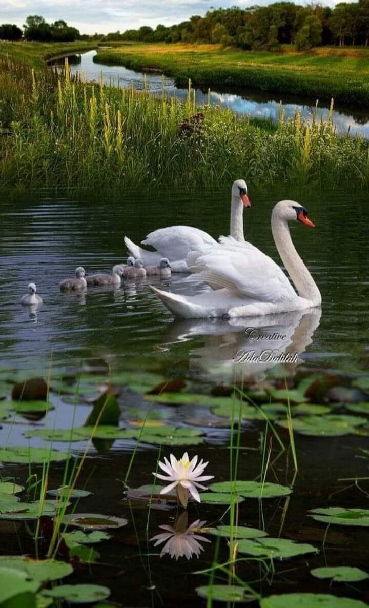 278724042 388669626463470 3851204303988083577 n