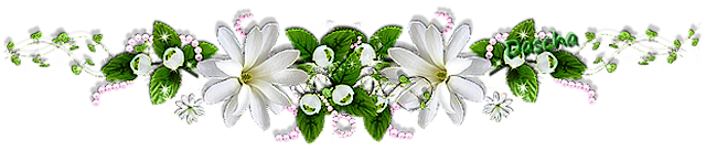 6.L bílá s kulič sp