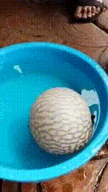 https://s13.gifyu.com/images/bqSyF.gif