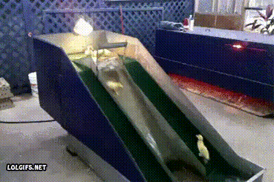 https://s13.gifyu.com/images/bqSyR.gif