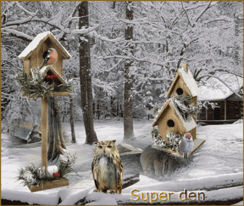 SUPER DEN