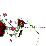 bqm81