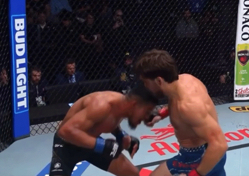 bqmQC.gif