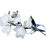 bqmaX