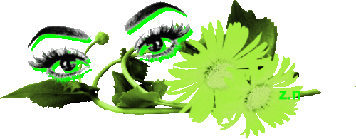 bkDFK
