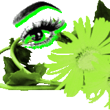 bqmiq