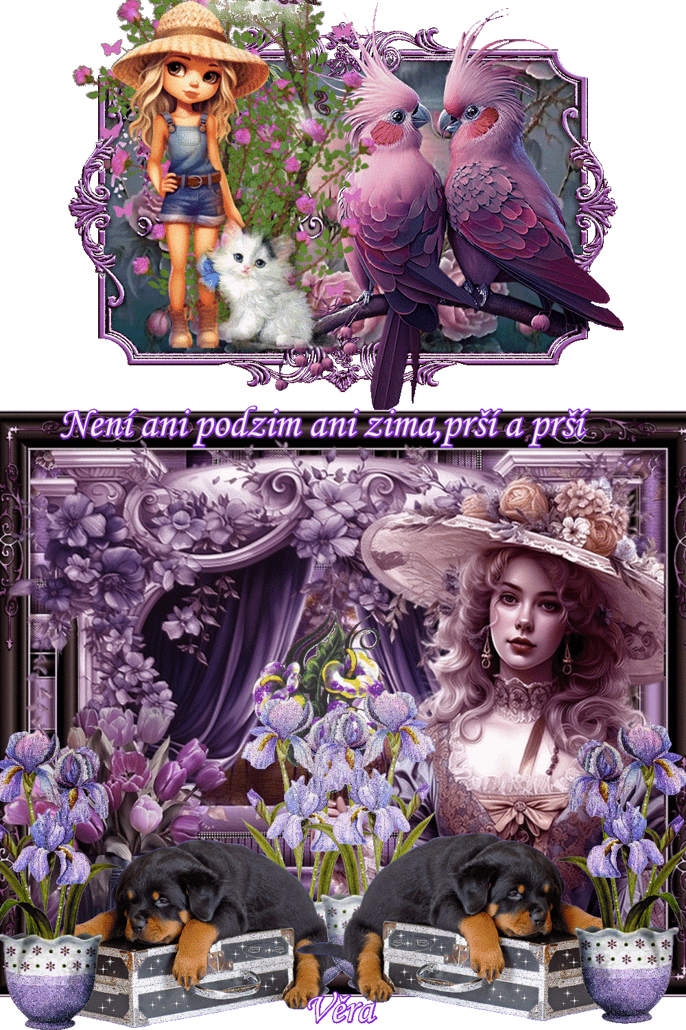 na noc (4)