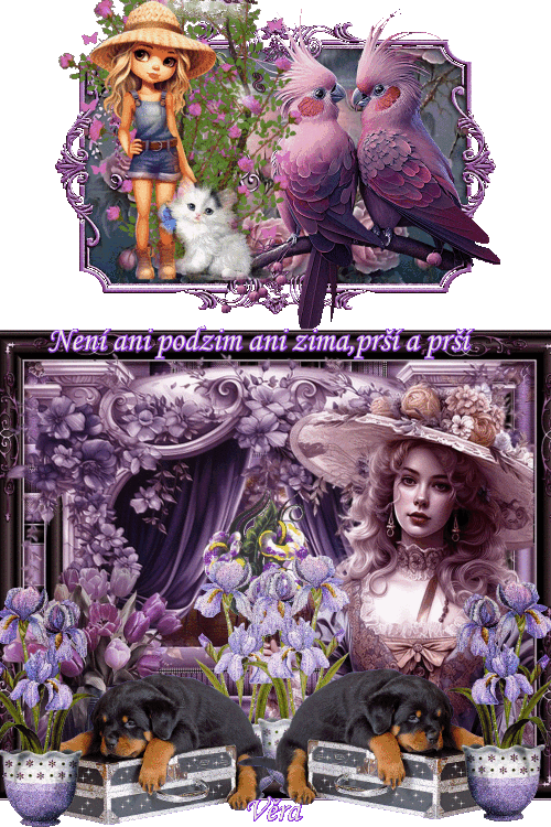 na noc (4)