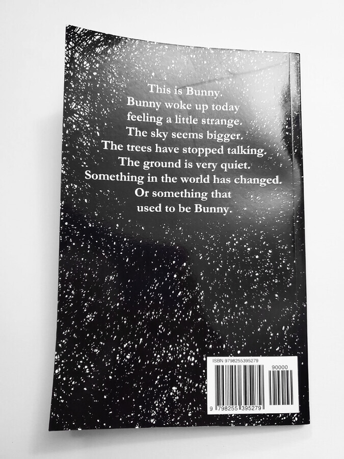 bunny feels strange today back cover
