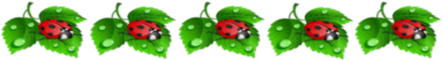 5jbqbwmje09