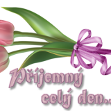 bqv1Y