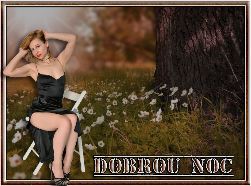 DOBROU NOC