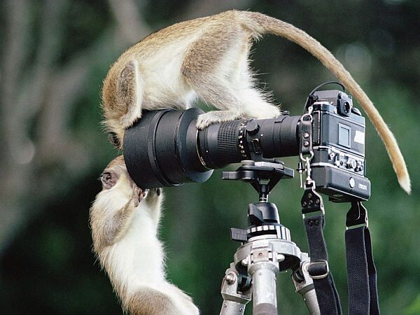 image proxy