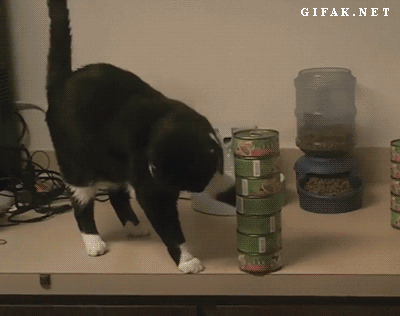 https://s13.gifyu.com/images/buCGp.gif