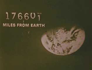 https://s13.gifyu.com/images/bubup.gif