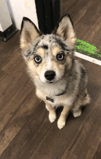 iuuuhi